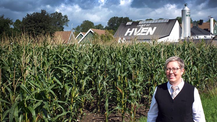 Hven3.JPG