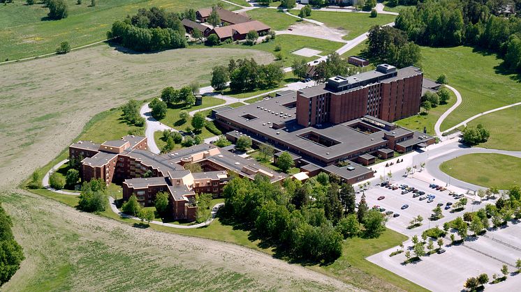 Löwenströmska sjukhuset