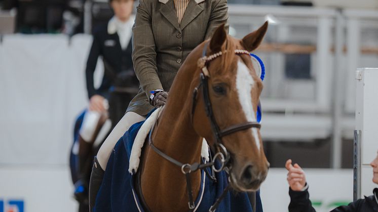 Siri Swärd och Just A Dream Mi Amor från Åby Ridklubb var en av två segrare i dagens ATG Riders League, kval - 1.35 på Jönköping Horse Show 