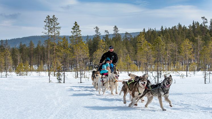 Stöten i Sälen Hundspann_7503738 kopiera