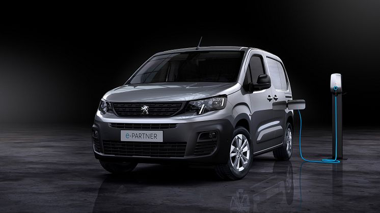 PEUGEOT_PARTNER 3.jpg