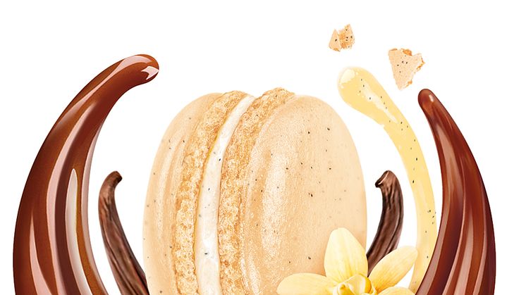 Création Vanilla Macaron
