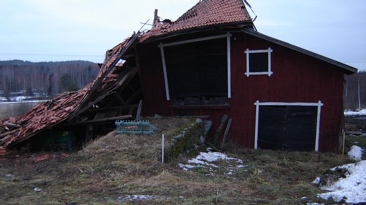 En ladugård i Hälsingland som skadats i stormen Dagmar