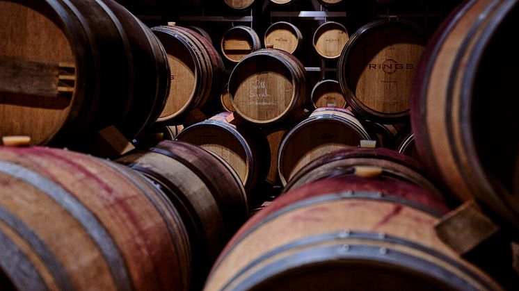 weingut-rings-weingut-rings-christian-ernst-keller-barriques-1024x683.jpg