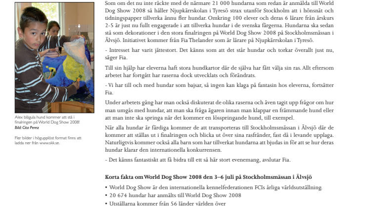 Kreativiteten flödar inför World Dog Show 2008!