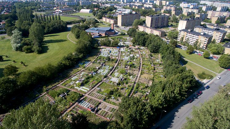 Rosengårdsfältets odlingsområde