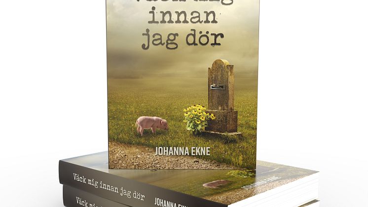 Väck mig innan jag dör, 3D omslag