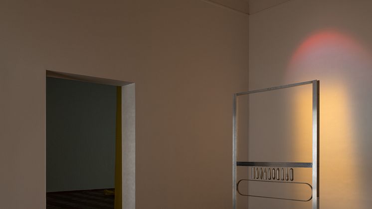 Lea Porsager, BARE EXCITATION, 2020. 