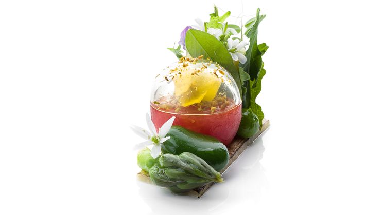 Bocuse-d'Or_2018_Garnityr_SG_Summer-Garden
