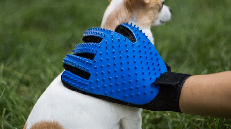 Borsthandske till hund & katt