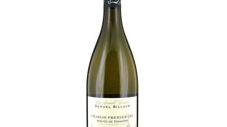 Starkt lysande stjärna på Chablis vinhimmel!