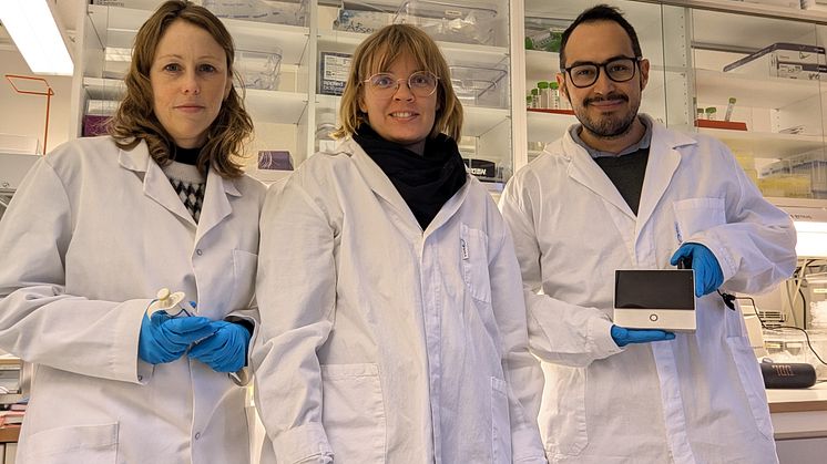 JellySafe prosjektet i lab