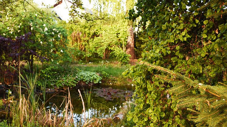 Gartengestaltung: Gartenplanung, Gartenbau, Gartenpflege | © Dein Service GmbH