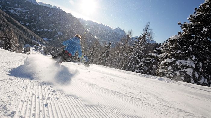 Flexibussitet i pisten med bästa tänkbara skidåkningen i Val di Fiemme!