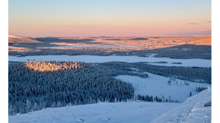 SEB Nordic Outlook February 2025.pdf