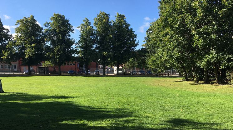 Vy över parken Enskifteshagen