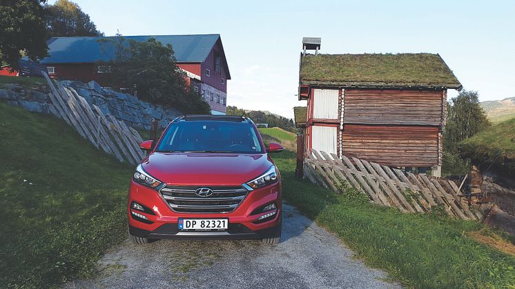 Tucson ved Strandafjorden, Ål