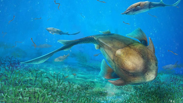 Life restoration of Qilinyu 05