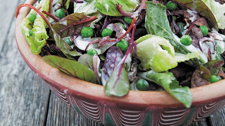 Grøn salat.jpg