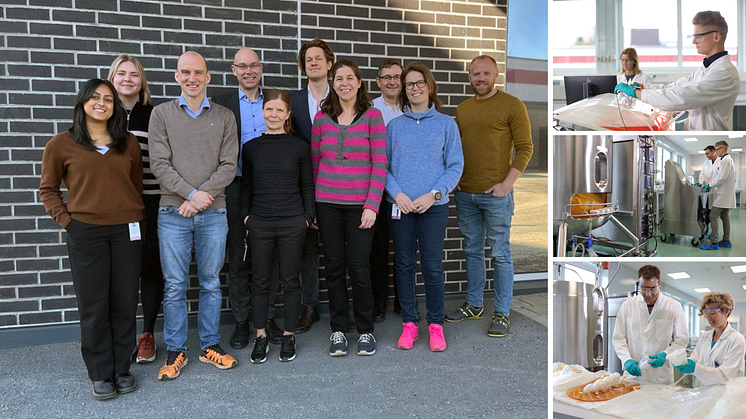 7-miljoners-projekt ska ge Life Science-Sverige "unik konkurrensfördel"