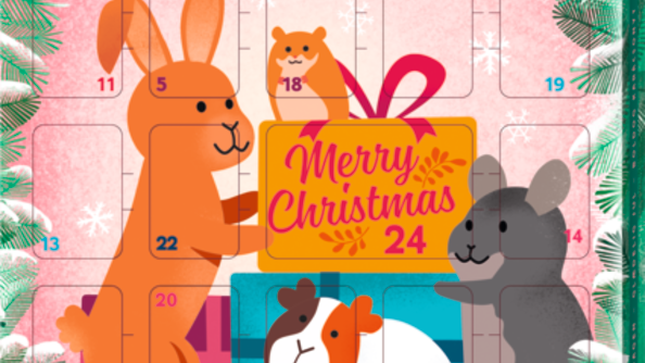 MultiFit Adventskalender für Nager + Zwergkaninchen, UVP: 4,99 €