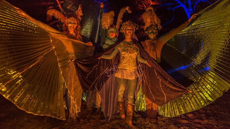 Magische Momente kann man bei der Waldweihnacht in Eberswalde erleben. Foto: TMB-Fotoarchiv/Steffen Lehmann. 