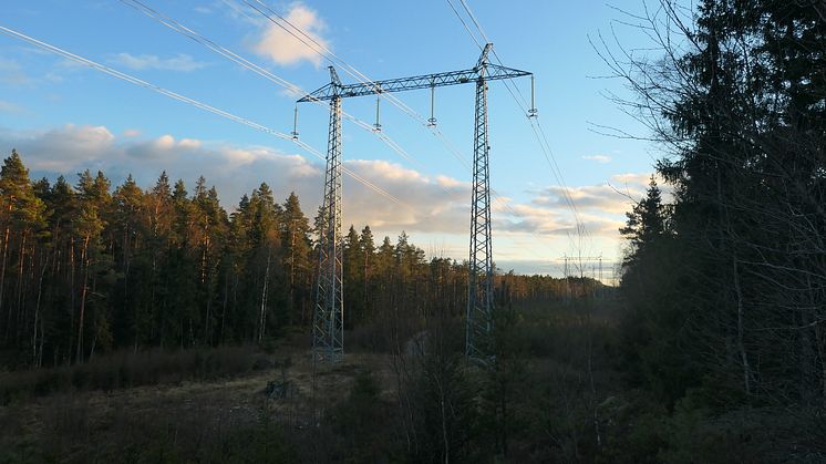 P1000793.JPG