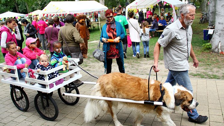 Tag der offenen Tür im Kinderhospiz: Bärenherz-Familienfest lockt rund 1.000 Besucher in den Kees’schen Park
