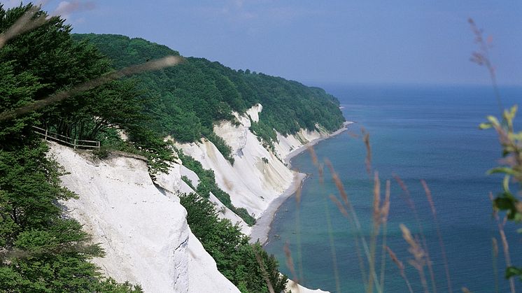 Møns Klint