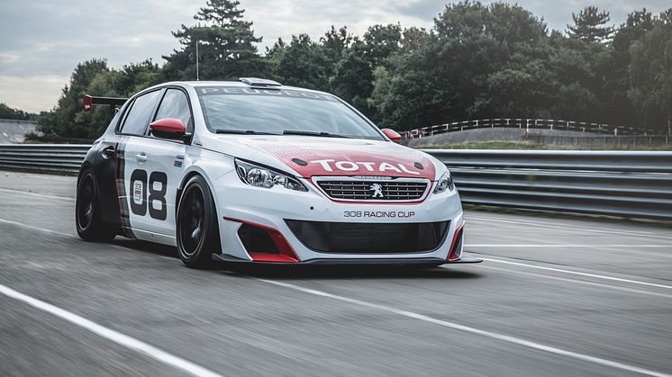 308 Racing Cup
