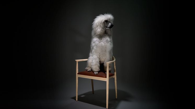 The Seat, Hund Stol 300dpi