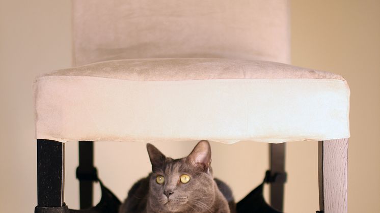CatCrib, miljö2