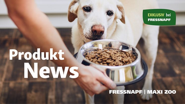 FN_header_1920x1080_pressemitteilungen-produktnews_Hund_KQ