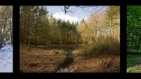 Fascinerende billeder fra dansk naturperle