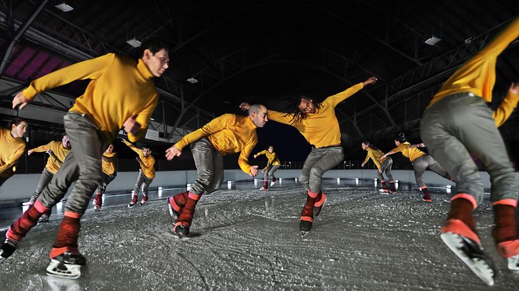 Le Patin Libre - Murmuration