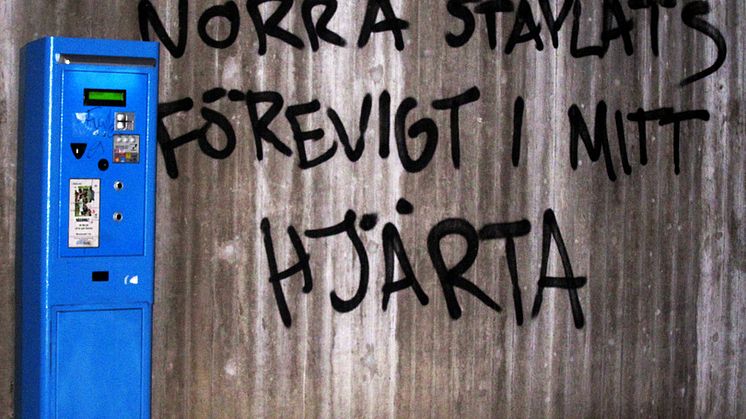 VAD ÄR HEMBYGD FÖR DIG? 