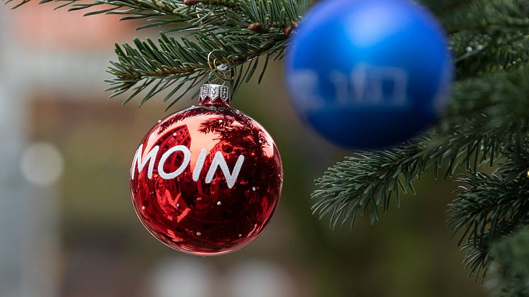 Matthias_Masch_Weihnachtsbaum_Schloßstraße (46)