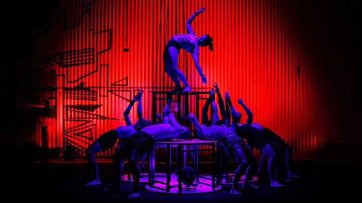 Gravity and Other Myths. Foto: Carnival Cinema
