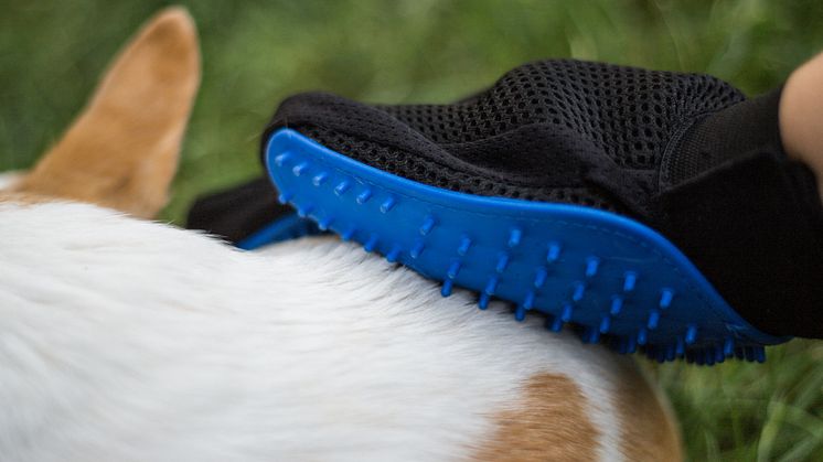 Borsthandske till hund & katt