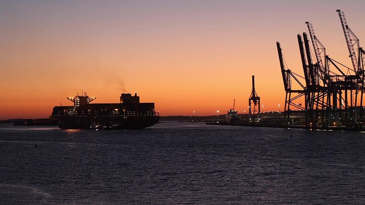 MSC Auriga