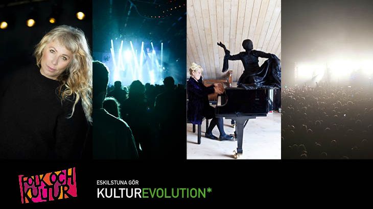 Maxa-folk-och-kultur-utan-deltagarpass-730-411px