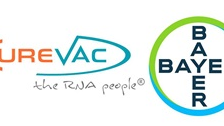 CureVac och Bayer i samarbete om COVID-19-vaccinkandidaten CVnCoV