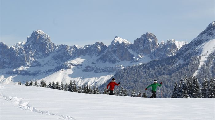 Ekman Alpin i Val Di Fiemme