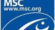 MSC -logo