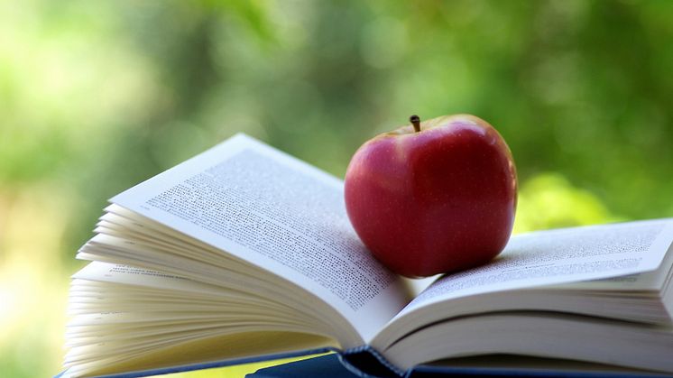 Sök Bröderna Molanders stipendium
