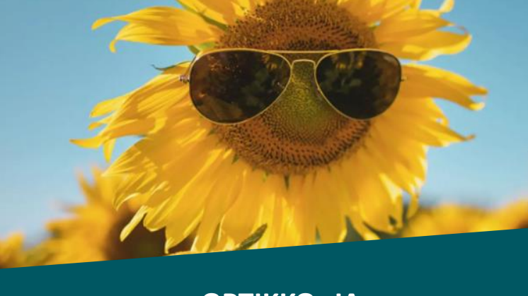 EPSI Optikkoliikkeet 2024 Lehdistötiedote, 20.05.2024.pdf
