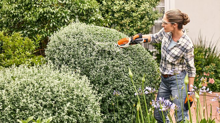 STIHL HSA 26 busktrimmer