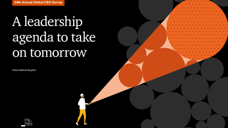 PwC 24th Global Annual CEO Survey