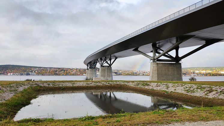 Exempel på den här typen av biofilter i Sverige vid Sundsvallsbron