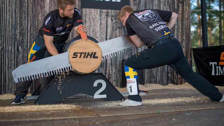 Svenskene har et hårete mål for årets VM - å bli best i Europa. 